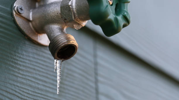 Best Plumbing Inspection Services  in Watts Mills, SC